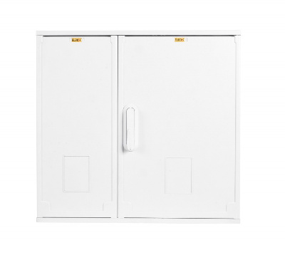 EP-800.800.250-2-IP44 Электротехнический шкаф полиэстеровый IP44 (В800 × Ш800 × Г250) EP с двумя две