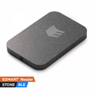 Считыватель ESMART® Reader серии STONE