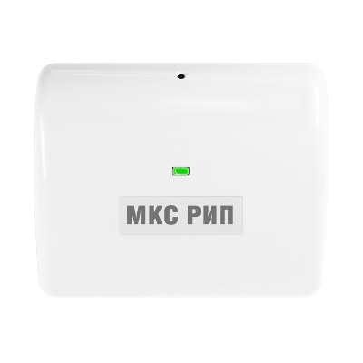 МКС РИП