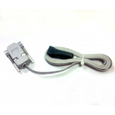 RS-31 PRG