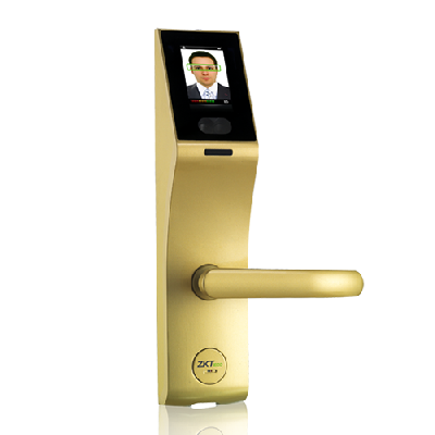 FL1000