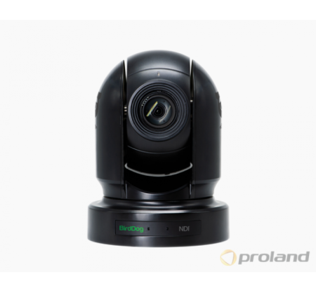 BirdDog NDI камера BirDog Eyes P200 роботизированная камера